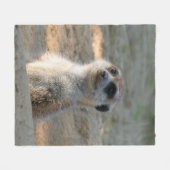 Meerkat 004 fleece deken (Voorkant (Horizontaal))