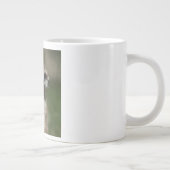 Meerkat 004 grote koffiekop (Rechts)