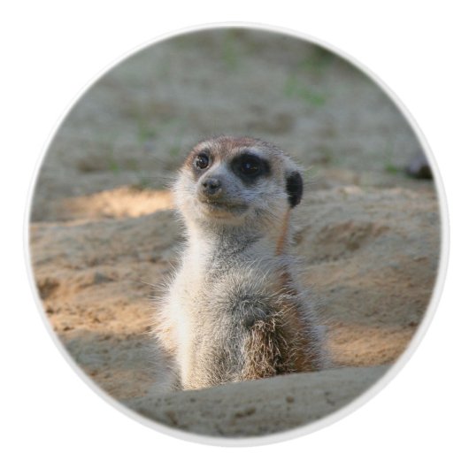 Meerkat 004 keramische knop (Voorkant)