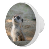 Meerkat 004 keramische knop (Rechts)