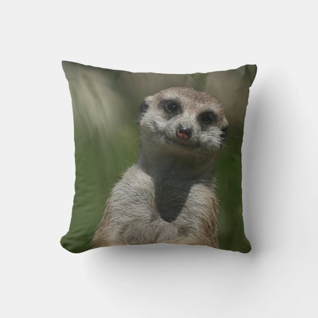 Meerkat 004 kussen (Voorkant)