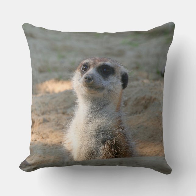 Meerkat 004 kussen (Voorkant)