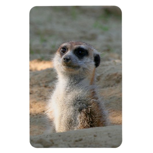 Meerkat 004 magneet (Verticaal)
