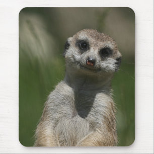 Meerkat 004 muismat