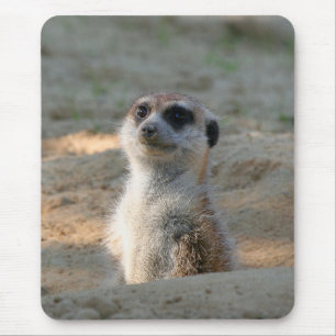Meerkat 004 muismat