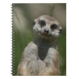 Meerkat 004 notitieboek
