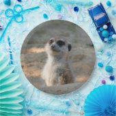 Meerkat 004 papieren bordje (Feest)