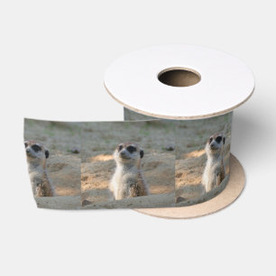 Meerkat 004 satijnen lint
