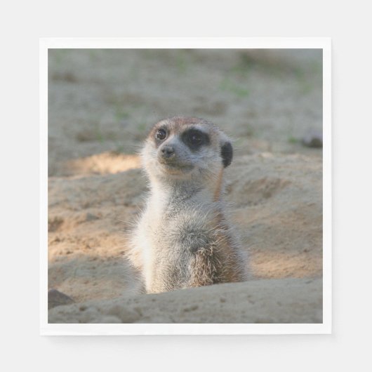 Meerkat 004 servet (Voorkant)