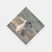 Meerkat 004 servet (Hoek)