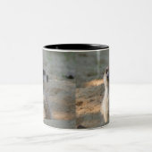 Meerkat 004 tweekleurige koffiemok (Center)