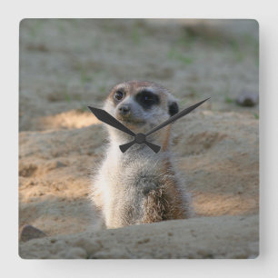 Meerkat 004 vierkante klok