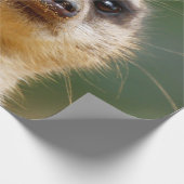Meerkat 005 cadeaupapier (Hoek)