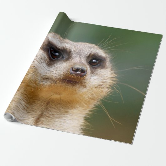 Meerkat 005 cadeaupapier (Uitgerold)