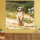 Meerkat_005 Canvas Afdruk (Insitu (Woonkamer))