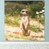 Meerkat_005 Canvas Afdruk (Insitu (Houten vloer))