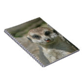 Meerkat 005 notitieboek (Rechterzijde)