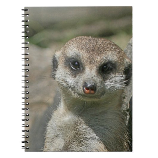 Meerkat 005 notitieboek (Voorkant)