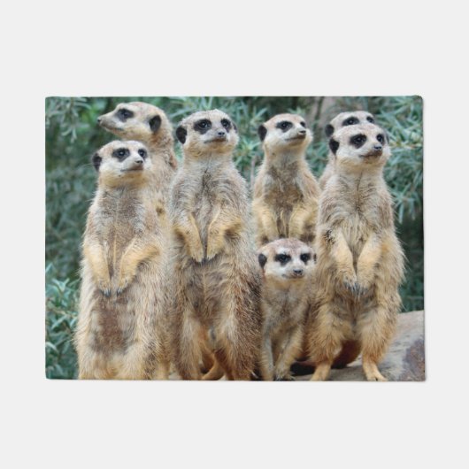 Meerkat 006 deurmat (Voorkant)