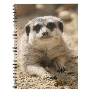 Meerkat 006 notitieboek