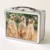 Meerkat 007 (Voorkant)