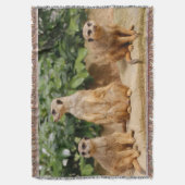 Meerkat 008 deken (Voorkant Verticaal)
