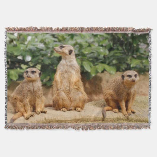 Meerkat 008 deken (Voorkant)