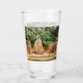Meerkat 008 glas (Achterkant)