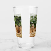 Meerkat 008 glas (Links)