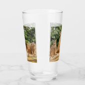 Meerkat 008 glas (Rechts)