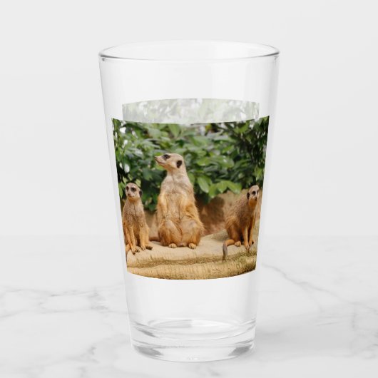 Meerkat 008 glas (Voorkant)