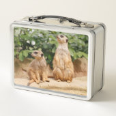 Meerkat 009 (Achterkant)