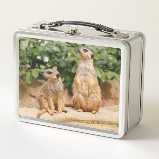Meerkat 009 (Voorkant)