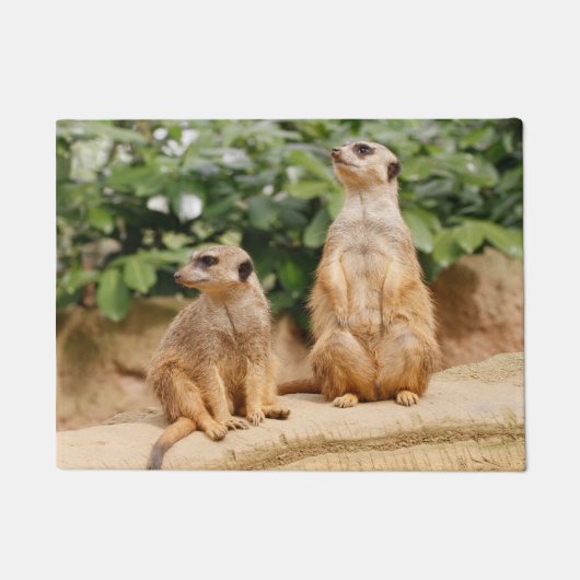 Meerkat 009 deurmat (Voorkant)