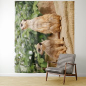 Meerkat 009 wandkleed (In situ)