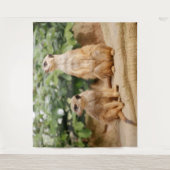 Meerkat 009 wandkleed (Voorkant)