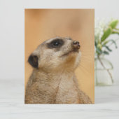 Meerkat 011 feestdagenkaart (Staand voorkant)