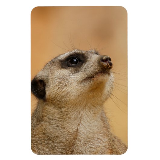 Meerkat 011 magneet (Verticaal)