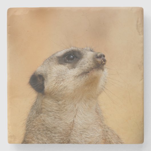 Meerkat 011 stenen onderzetter (Voorkant)