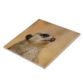 Meerkat 011 tegeltje (Zijkant)