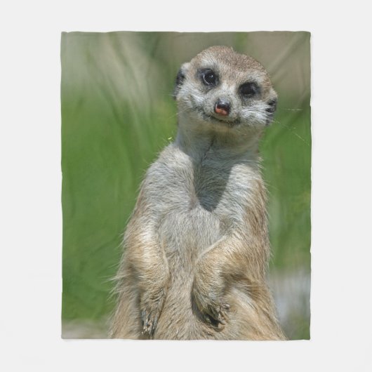 Meerkat 013 fleece deken (Voorkant)