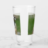 Meerkat 013 glas (Links)