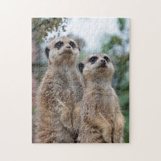 Meerkat 013 legpuzzel (Verticaal)