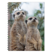 Meerkat 013 notitieboek (Voorkant)