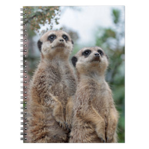 Meerkat 013 notitieboek