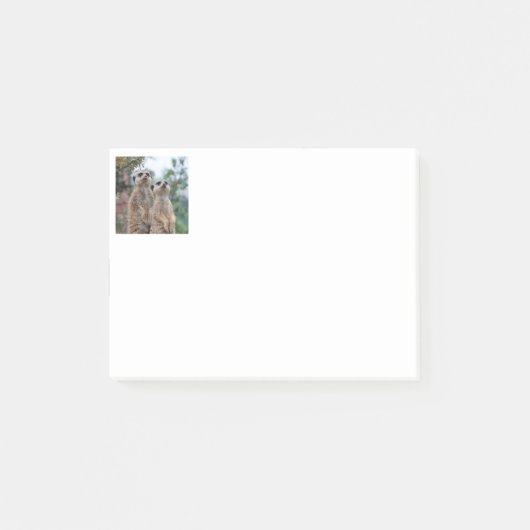 Meerkat 013 post-it® notes (Voorkant)