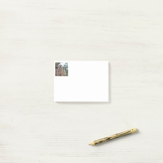 Meerkat 013 post-it® notes (Op bureau)