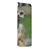 Meerkat 013 thermosbeker (Geroteerd rechts)
