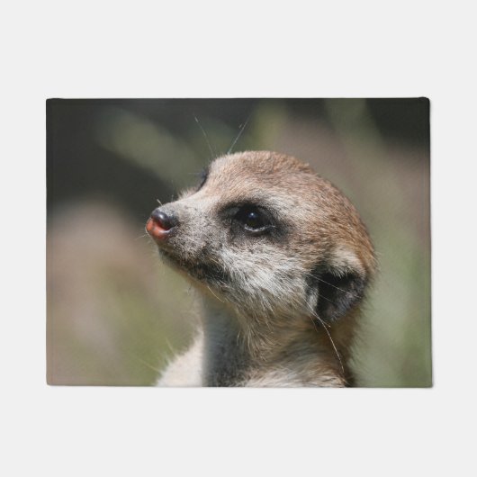 Meerkat 014 deurmat (Voorkant)