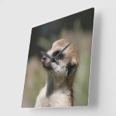 Meerkat 014 vierkante klok (Hoek)